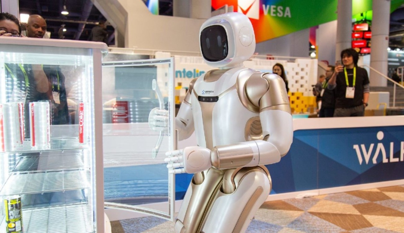 Egy robotmacska a legnépszerűbb droid