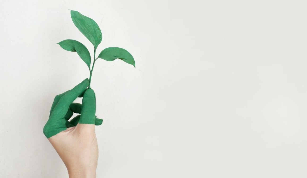 Egy újabb lépéssel közelebb a fenntarthatóság felé